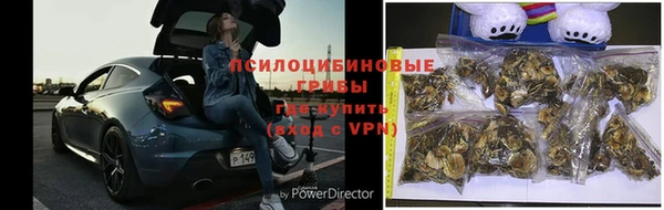 apvp Вязники