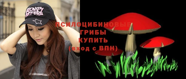 спайс Вяземский