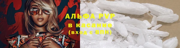 прущие грибы Верхнеуральск