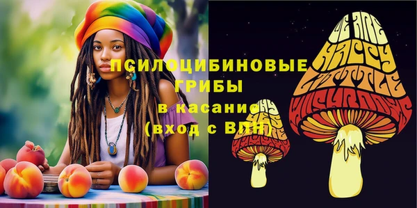не бодяженный Верхний Тагил