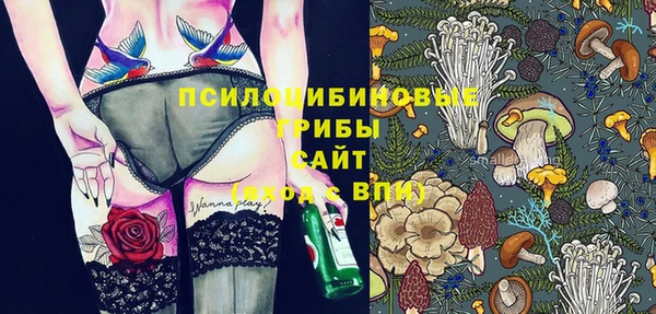 прущие грибы Верхнеуральск