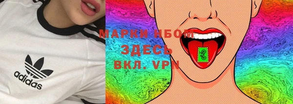 прущие грибы Верхнеуральск