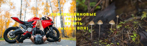 apvp Вязники