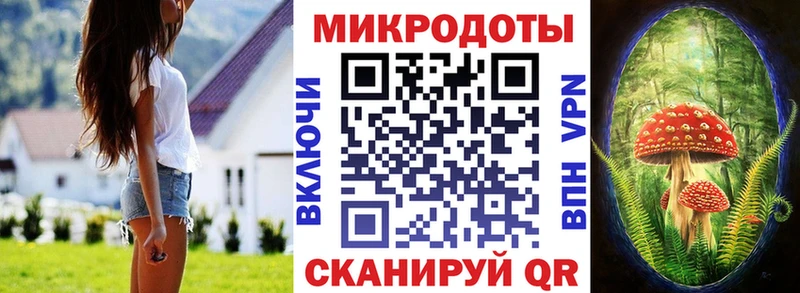 ссылка на мегу сайт  Цоци-Юрт  Галлюциногенные грибы GOLDEN TEACHER  как найти  