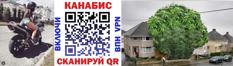 Бошки Шишки сатива нарко площадка какой сайт Цоци-Юрт